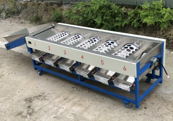 tomato sorting machine