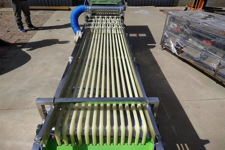 Date Olive Cherry Grading Sorting Machine