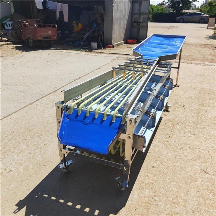 Date Olive Cherry Grading Sorting Machine