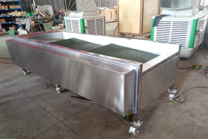 Blueberry Size Sorting Machine