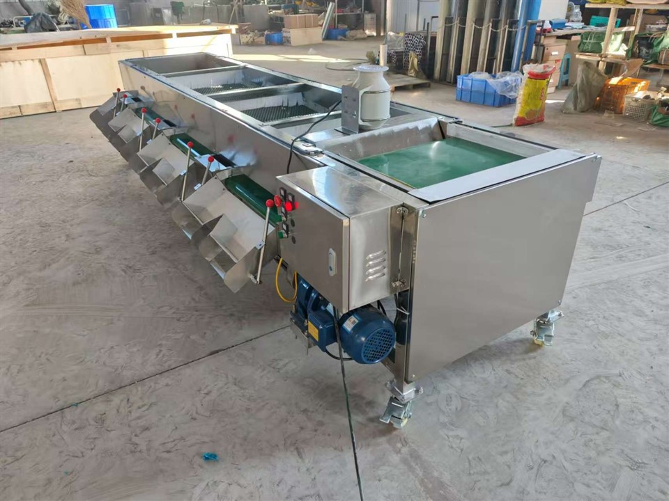 Blueberry Sorting And Selecting Machine suppliers