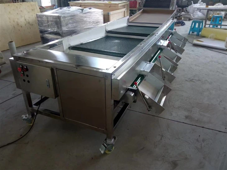 Blueberry Sorting Grading Machine