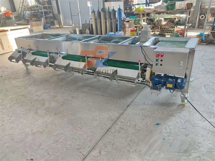 Fruit Sorting Machine Blueberry Grader factory