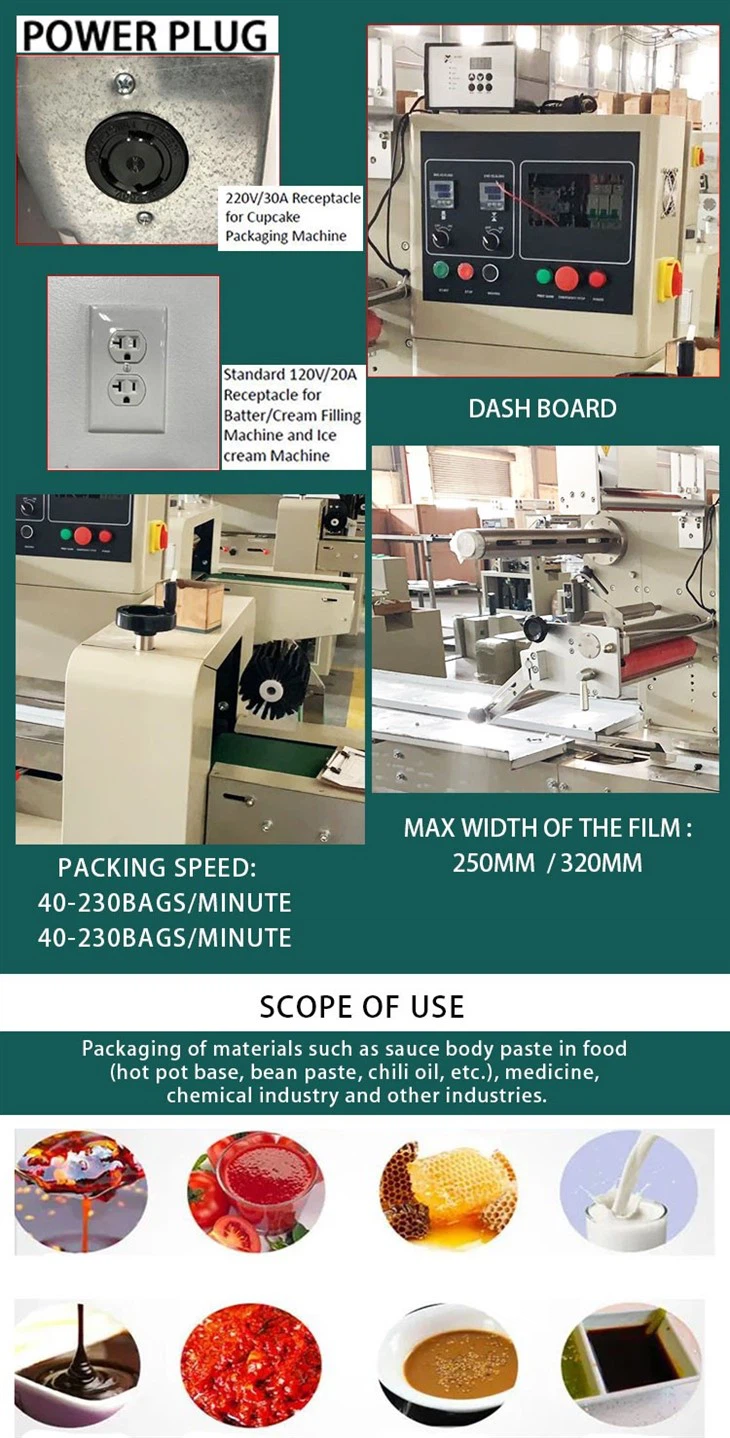 TPP-250B Pillow Packing Machine